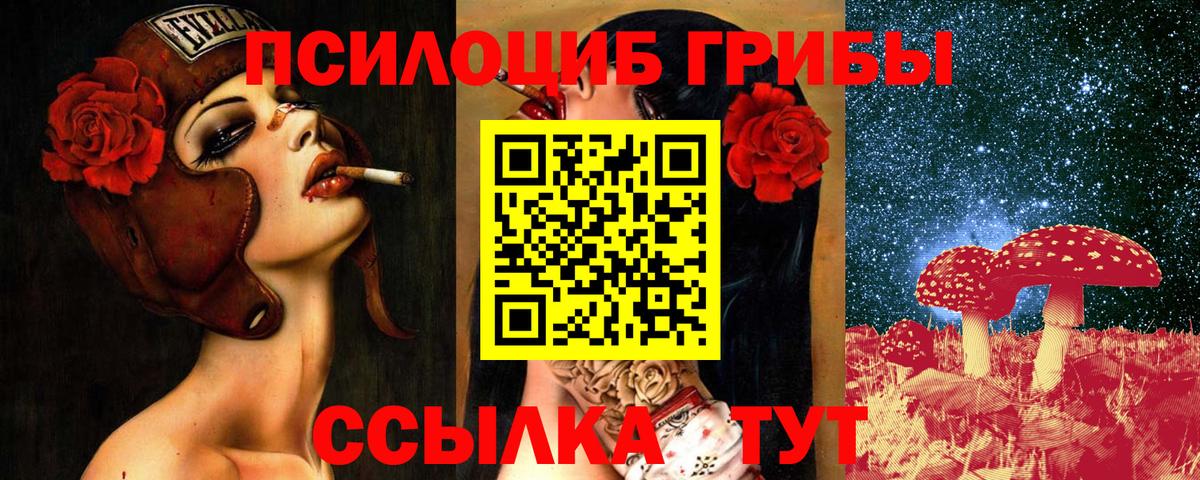 Псилоцибиновые грибы Psilocybe  Вход с VPN  Карабулак 
